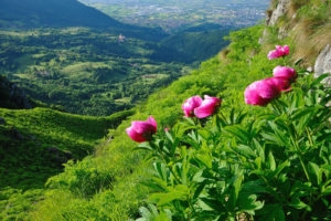 Agriturismo vicino a Schio Il Maggiociondolo