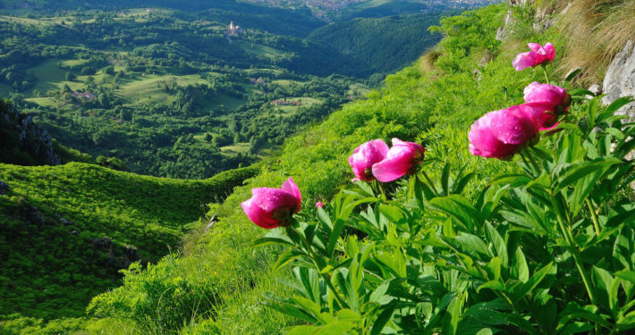 Agriturismo vicino a Schio Il Maggiociondolo