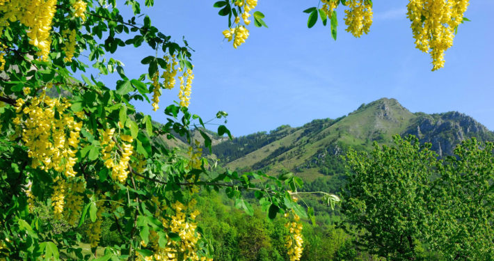 Agriturismo vicino a Schio Il Maggiociondolo