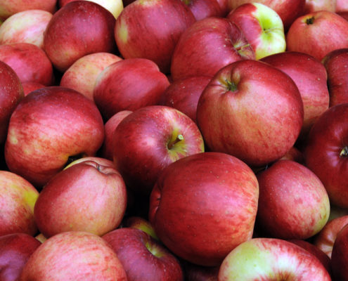 Frutta di produzione dell'agriturismo Il Maggiociondolo di Schio in provincia di vicenza