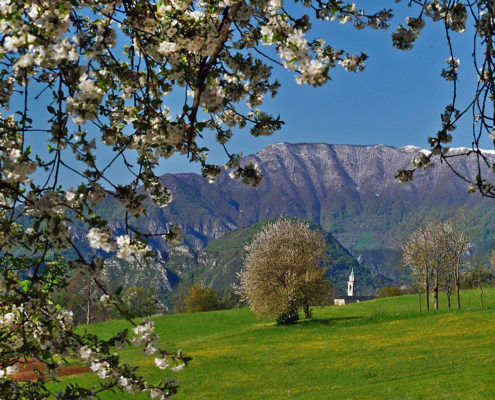 IlTretto - Agriturismo Il Maggiociondolo a Schio in provincia di Vicenza