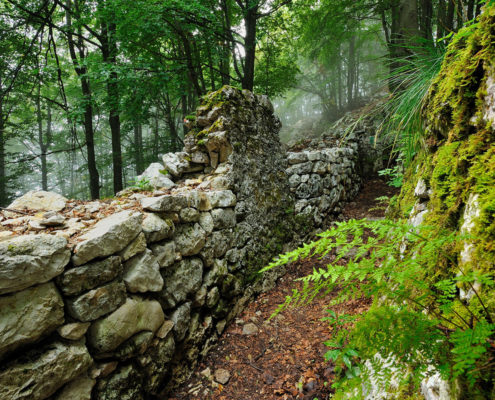 Agriturismo Schio e dintorni Il Maggiociondolo