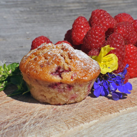 Muffin agriturismo il maggiociondolo di Schio in provincia di Vicenza