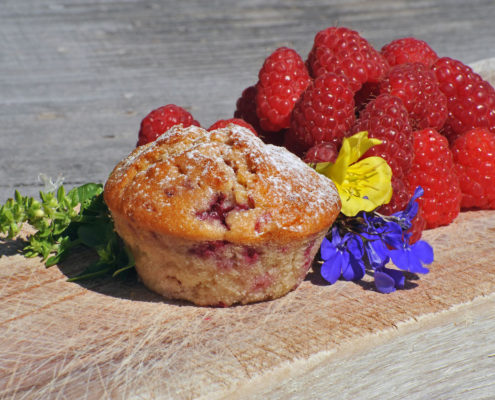 Muffin agriturismo il maggiociondolo di Schio in provincia di Vicenza